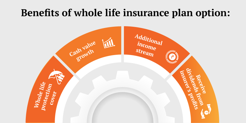 life-insurance-whole-life